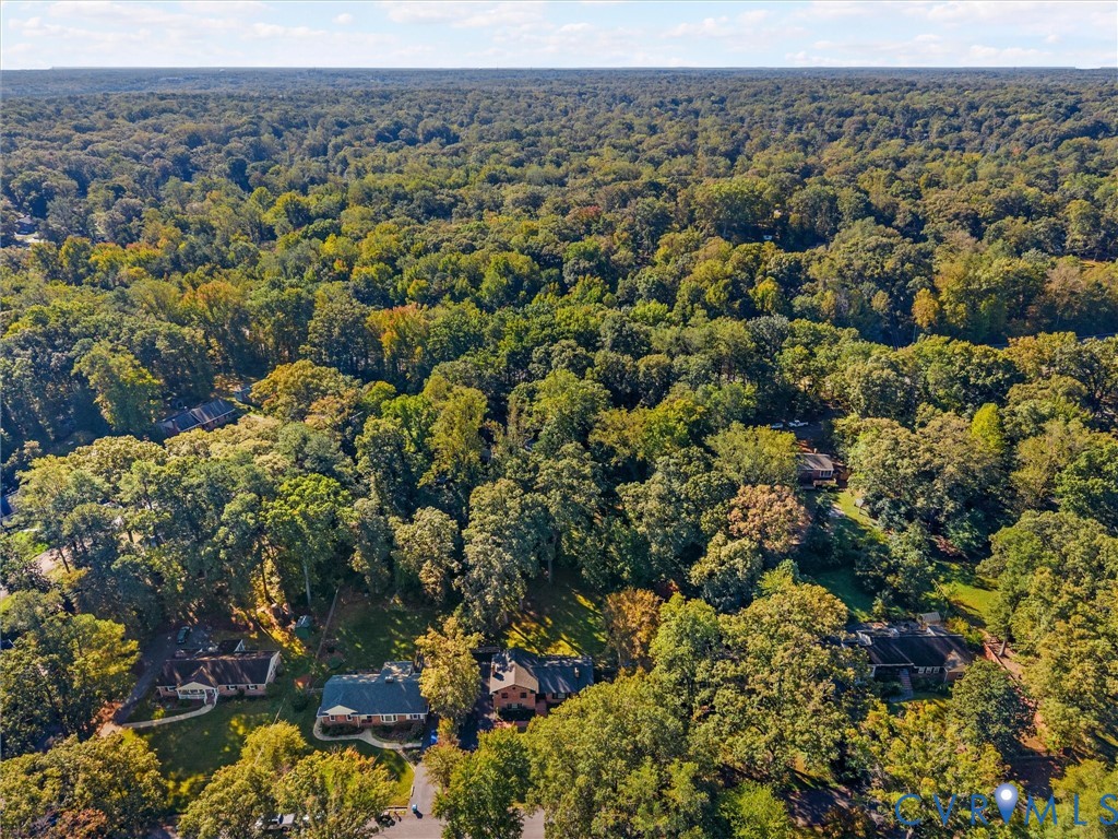 Aerial perspective of a wooded landscape featuring dense deciduous tree coverage Aerial perspective of a wooded landscape featuring dense deciduous tree coverage