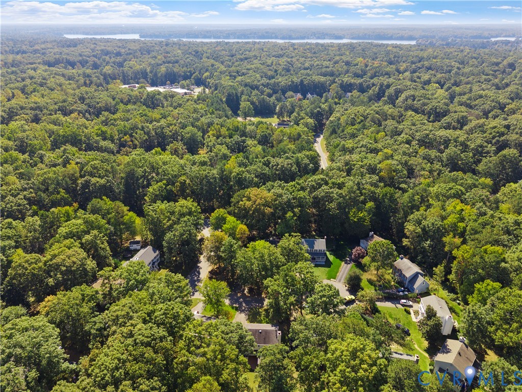 Aerial perspective featuring dense mature tree coverage, asphalt roadways, and a distant water backdrop