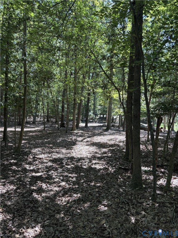 4844 Fox Lair Road, Gum Spring, VA 23065