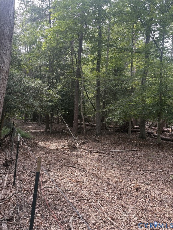 4844 Fox Lair Road, Gum Spring, VA 23065