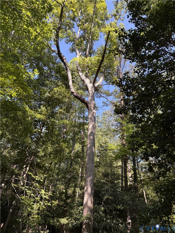 4844 Fox Lair Road, Gum Spring, VA 23065