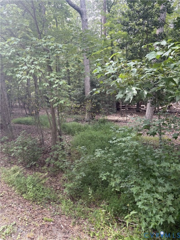4844 Fox Lair Road, Gum Spring, VA 23065