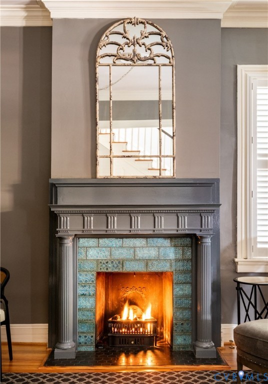 1303 Park Avenue, The Historic Fan District, Richmond, VA 23220