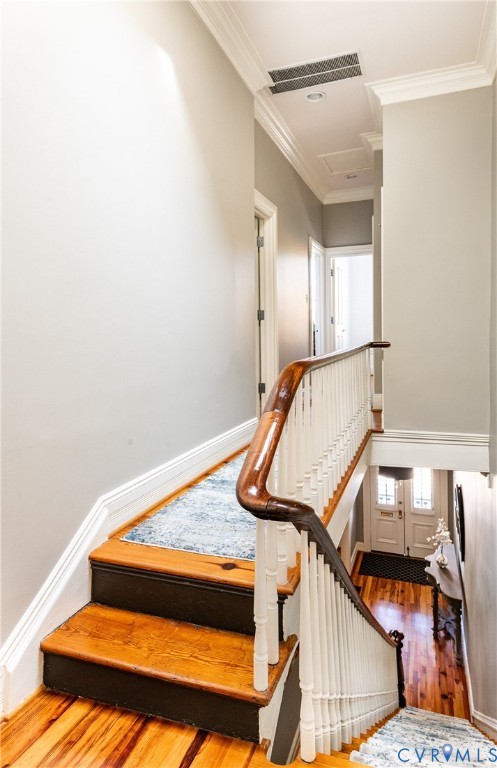 1303 Park Avenue, The Historic Fan District, Richmond, VA 23220