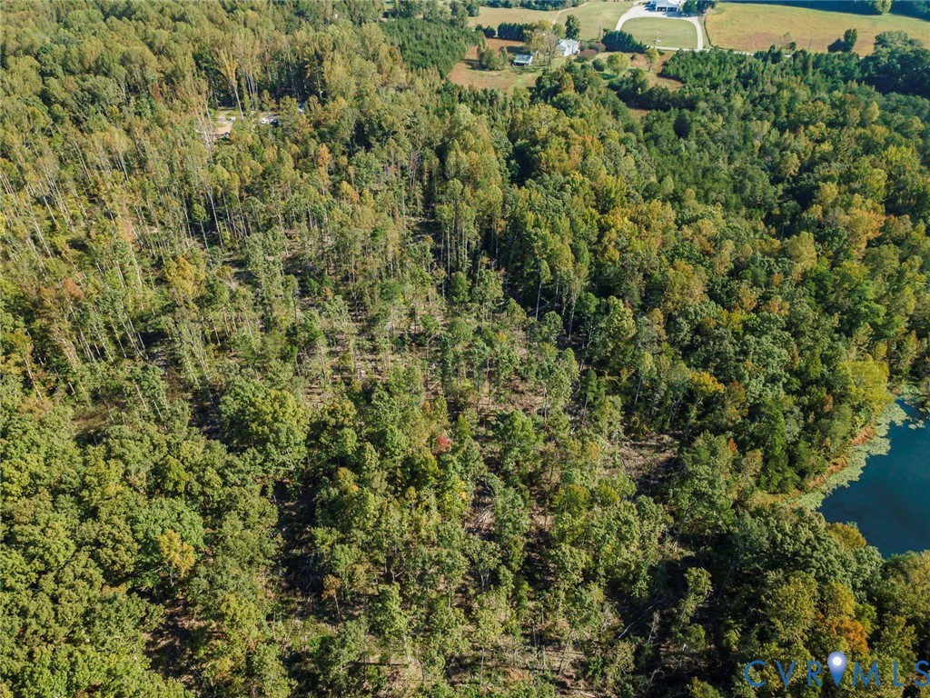 0 Hadensville Fife Road, Goochland, VA 23063 0 Hadensville Fife Road, Goochland, VA 23063