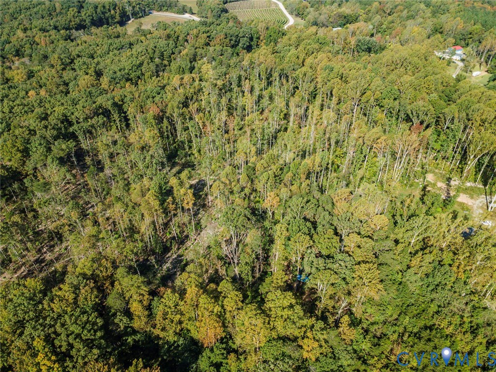 0 Hadensville Fife Road, Goochland, VA 23063