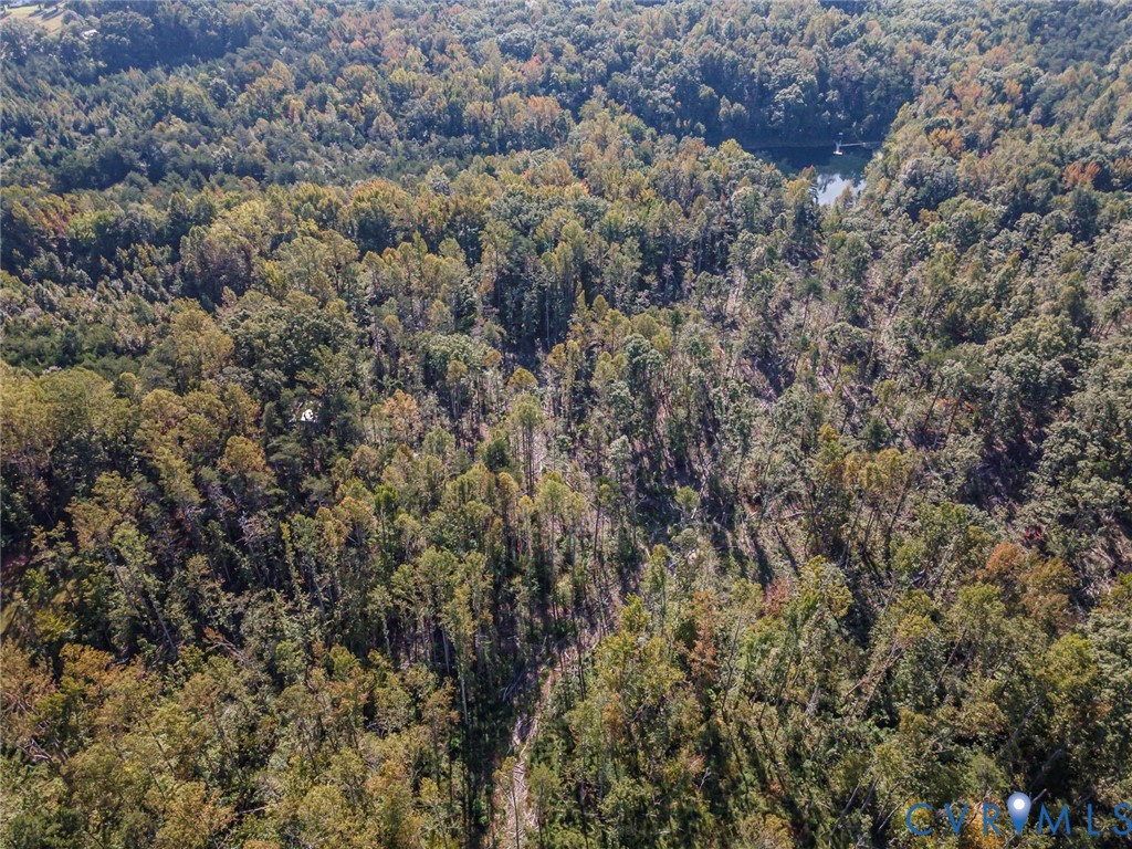 0 Hadensville Fife Road, Goochland, VA 23063
