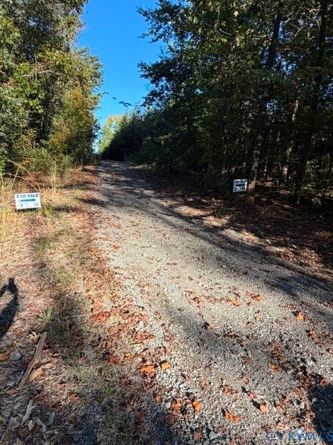 Gravel Driveway towards property.  The signs indicate where the easement would begin for the available lot.