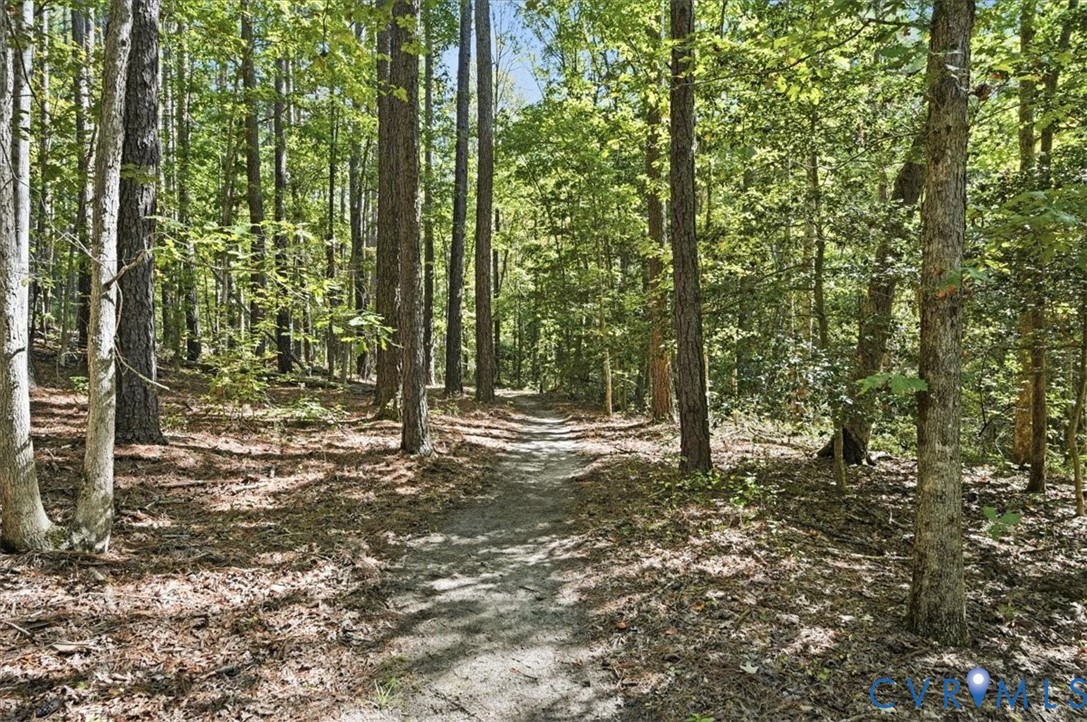 Wooded Trials