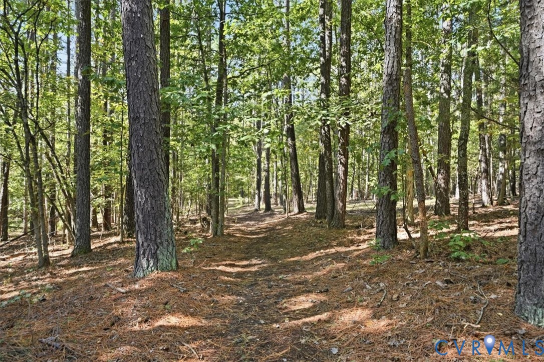 Wooded Trails
