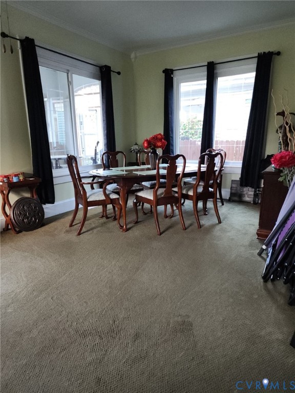 Dining area featuring wall-to-wall carpeting, crown molding, and two sets of expansive windows with horizontal blinds