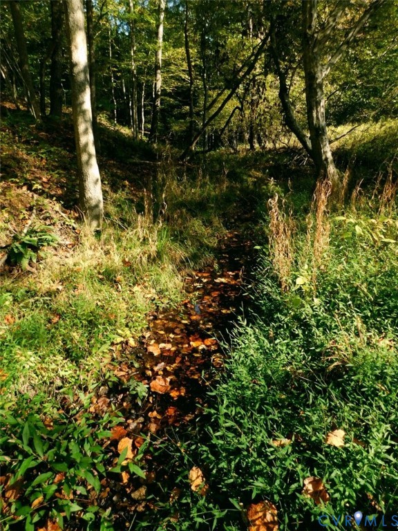 Stream