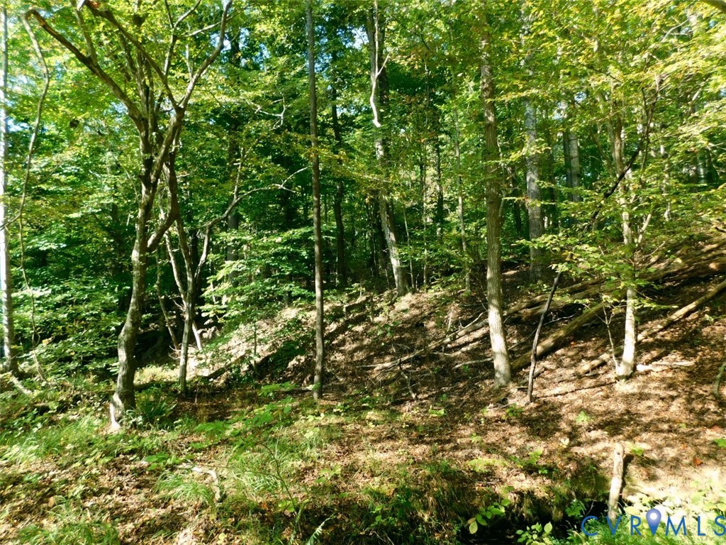 2515 Jerico Road, Buckingham, Buckingham, VA 23921