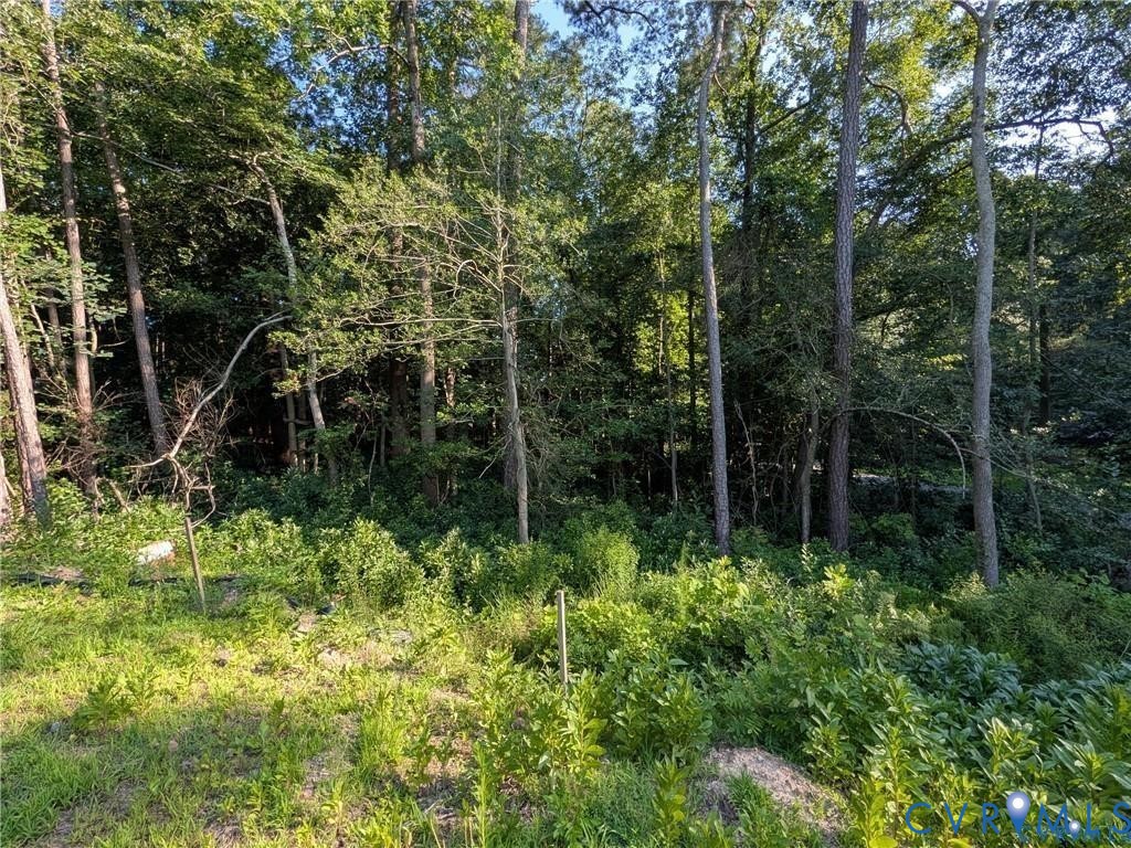 11625 Oak Road, Shields Property, Chester, VA 23831 11625 Oak Road, Shields Property, Chester, VA 23831