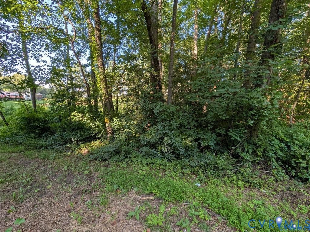 Wooded lot. Wooded lot.