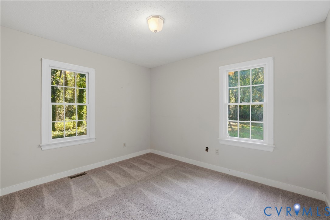 Room featuring neutral wall tones, wall-to-wall carpeting, two multi-pane windows with white trim, and a centered flush-mount ceiling light fixture