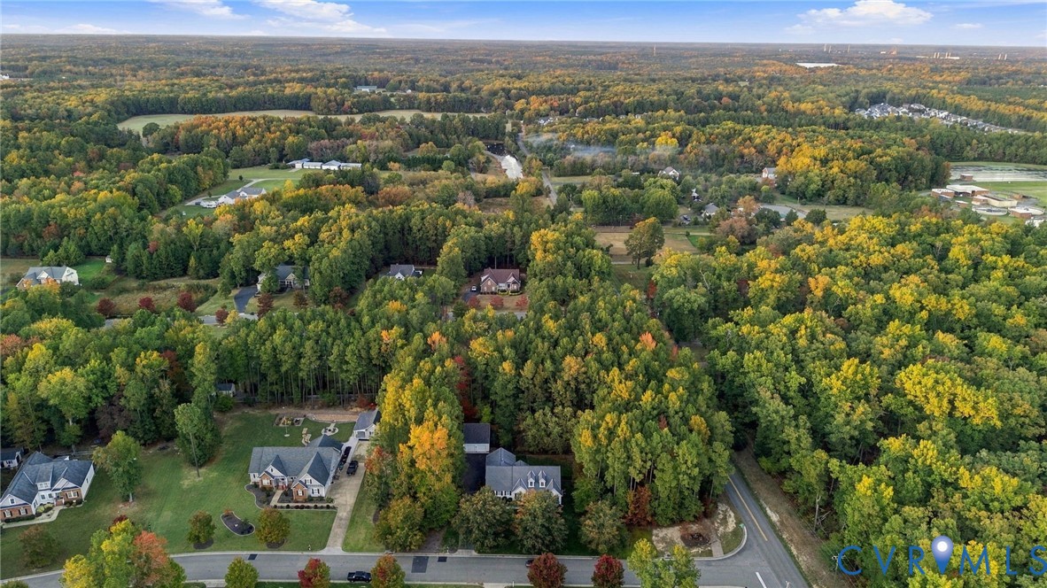 Aerial perspective of a multi-acre residential lot characterized by dense, mature tree coverage and expansive natural landscaping