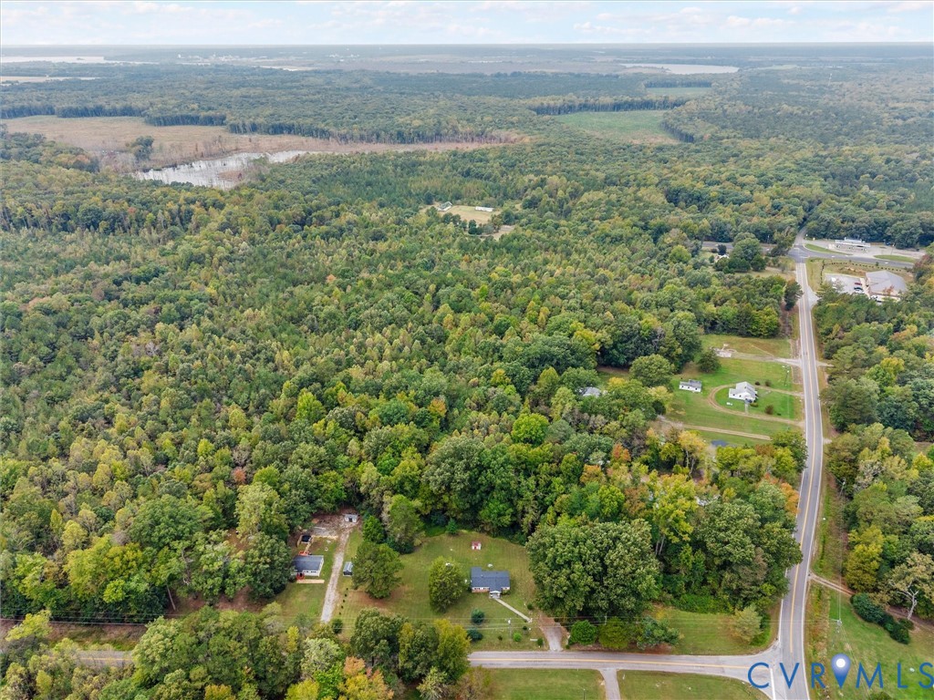 Aerial perspective featuring expansive wooded acreage, mature forest canopy, and direct paved road frontage