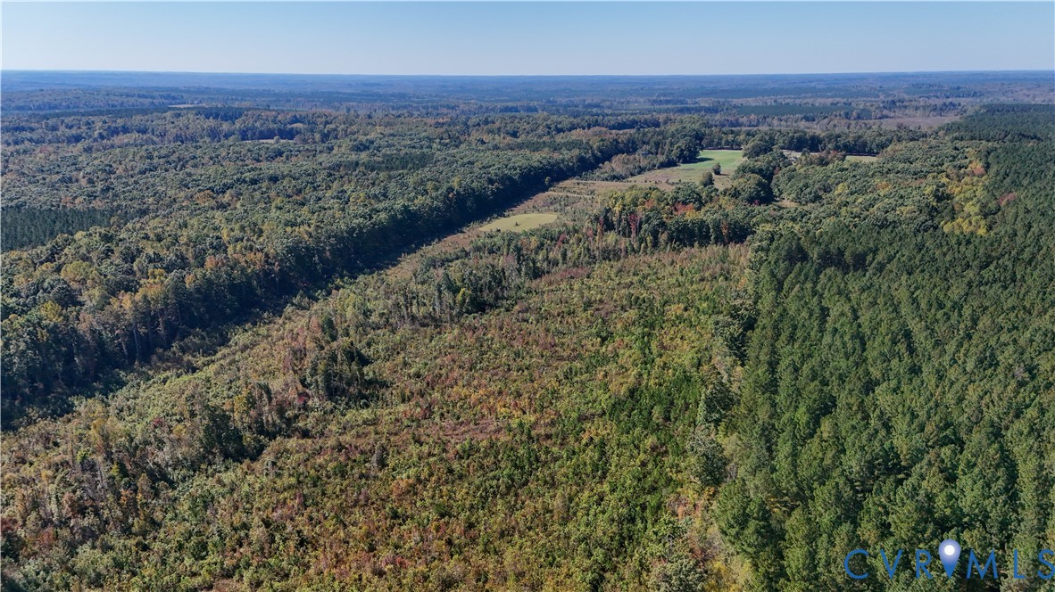 Expansive acreage featuring dense woodland, cleared pasture segments, mature pine timber, and varied topography