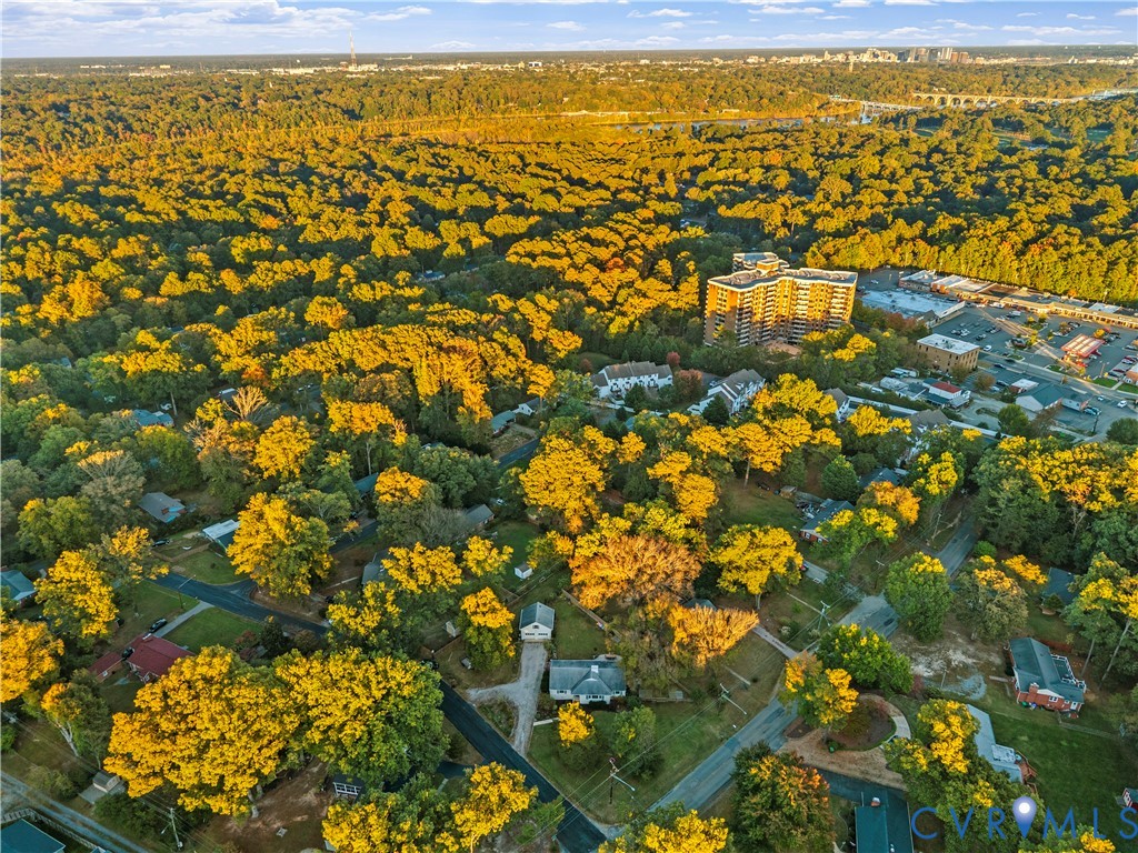 Aerial perspective of a wooded suburban area featuring mature deciduous trees and a distant cityscape horizon