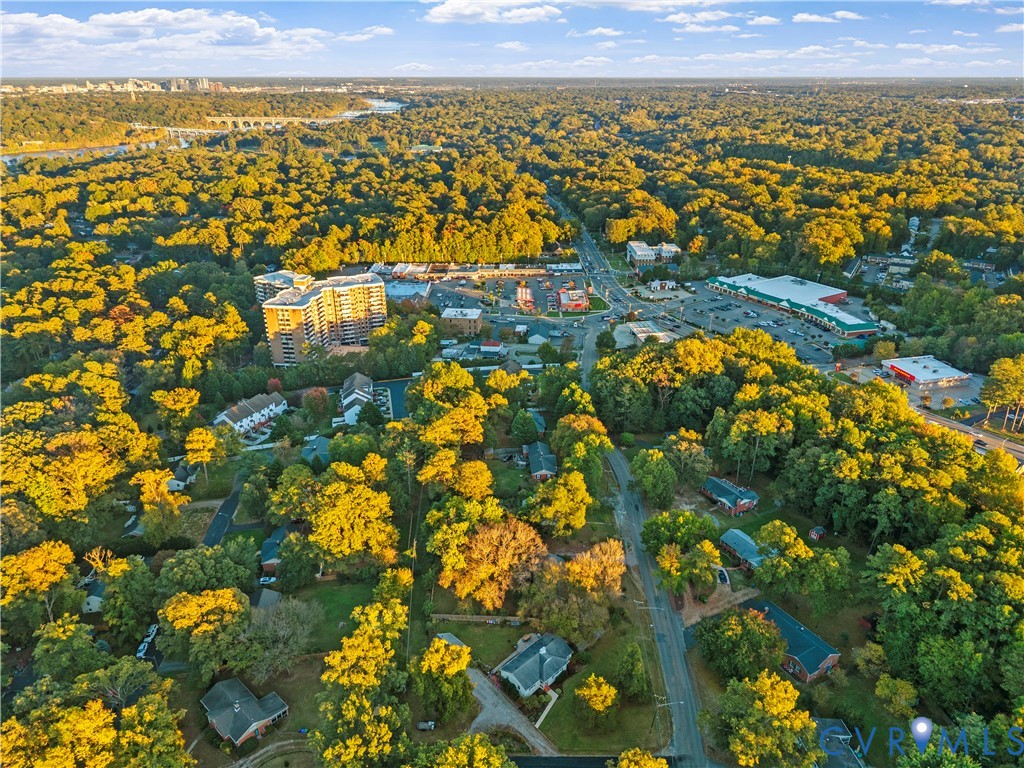Aerial perspective featuring dense mature tree canopy, established residential street layout, and distant horizon backdrop