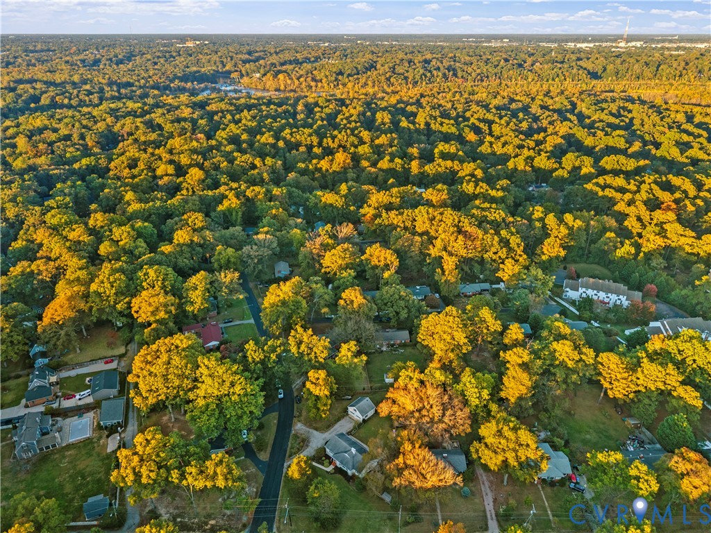 Aerial perspective of a heavily wooded landscape featuring mature deciduous trees and established residential lots