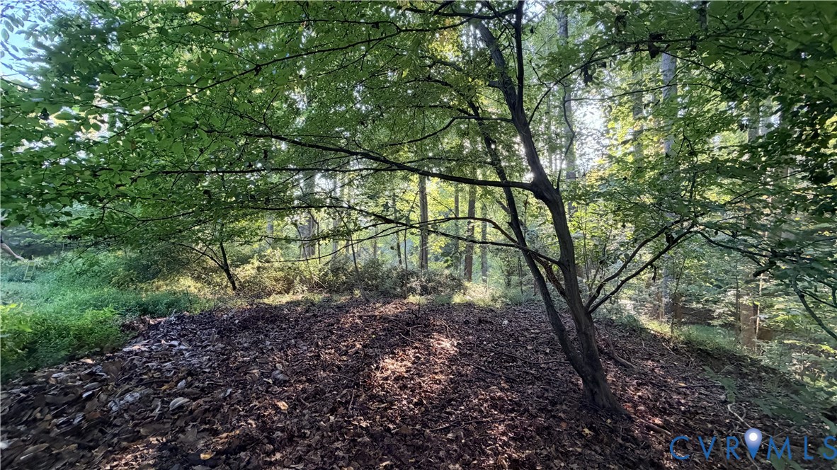 Wooded lot featuring mature trees and natural landscape Wooded lot featuring mature trees and natural landscape