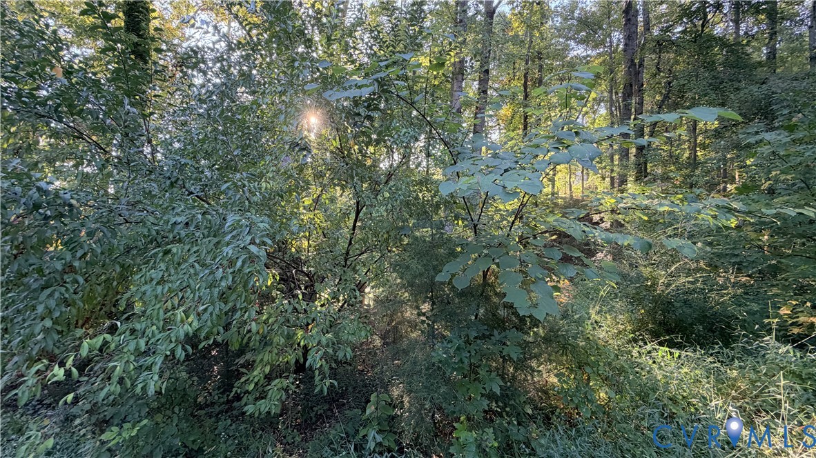 Wooded lot featuring mature trees and established natural vegetation Wooded lot featuring mature trees and established natural vegetation
