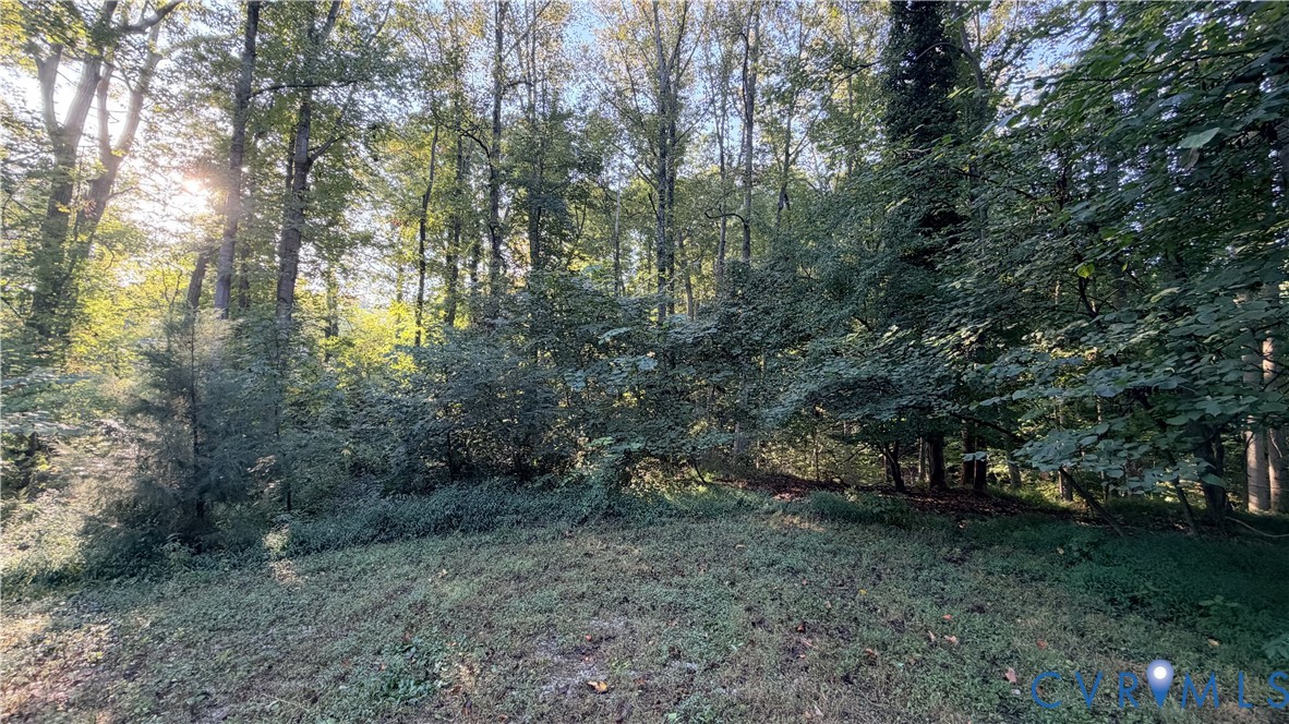 Wooded parcel featuring mature deciduous trees and natural landscape Wooded parcel featuring mature deciduous trees and natural landscape