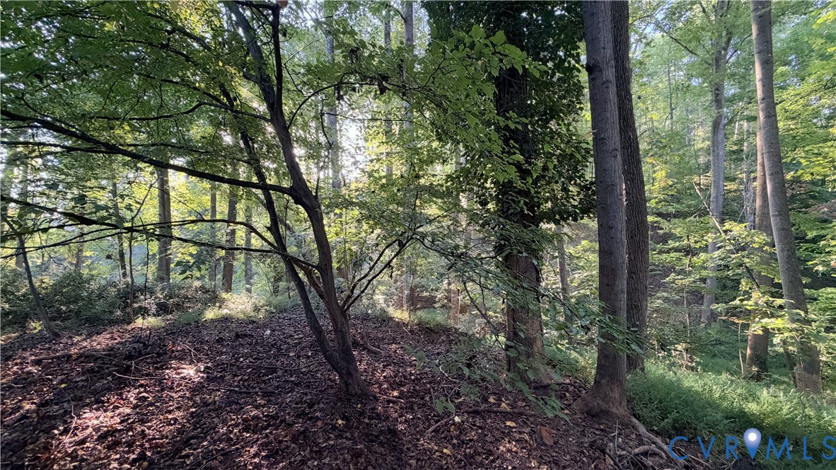 Wooded grounds featuring mature trees and a natural topography Wooded grounds featuring mature trees and a natural topography