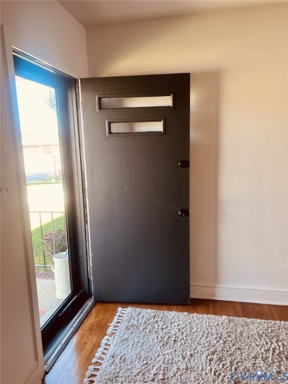 Dark-toned entry door featuring dual horizontal glass inserts, black round hardware, and wood-finish flooring