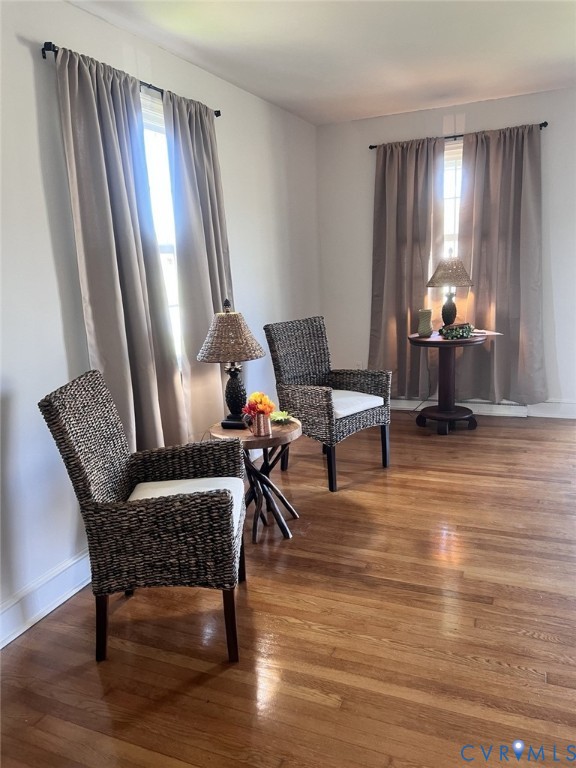 Wood-finish flooring and dual window sets with curtain rods