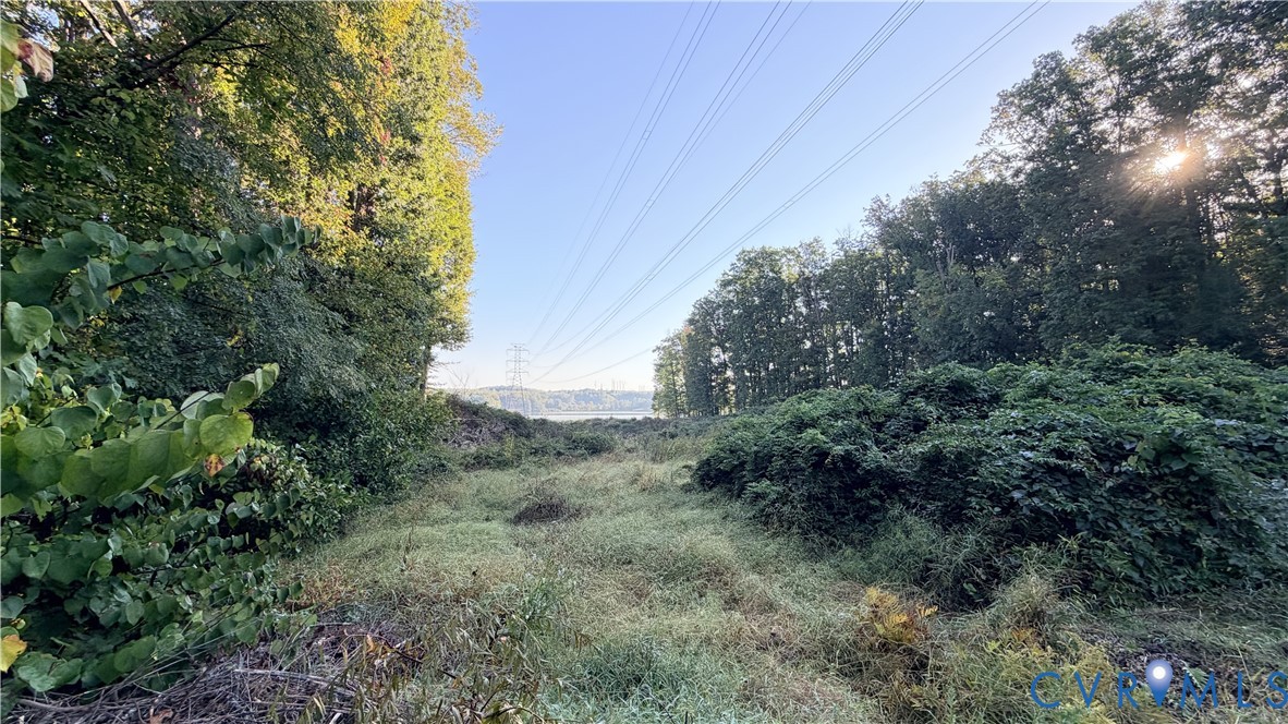 Expansive lot featuring mature trees and natural ground cover Expansive lot featuring mature trees and natural ground cover