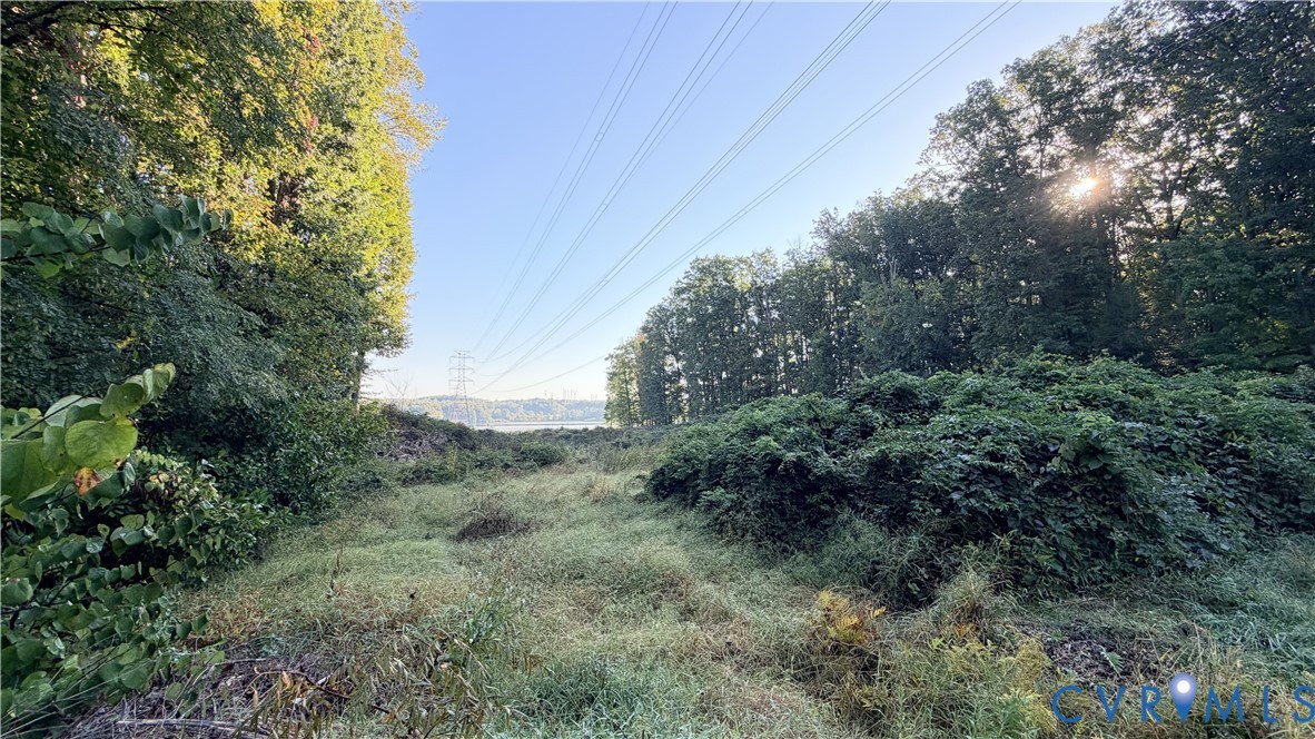 Expansive lot featuring mature trees and established natural vegetation Expansive lot featuring mature trees and established natural vegetation
