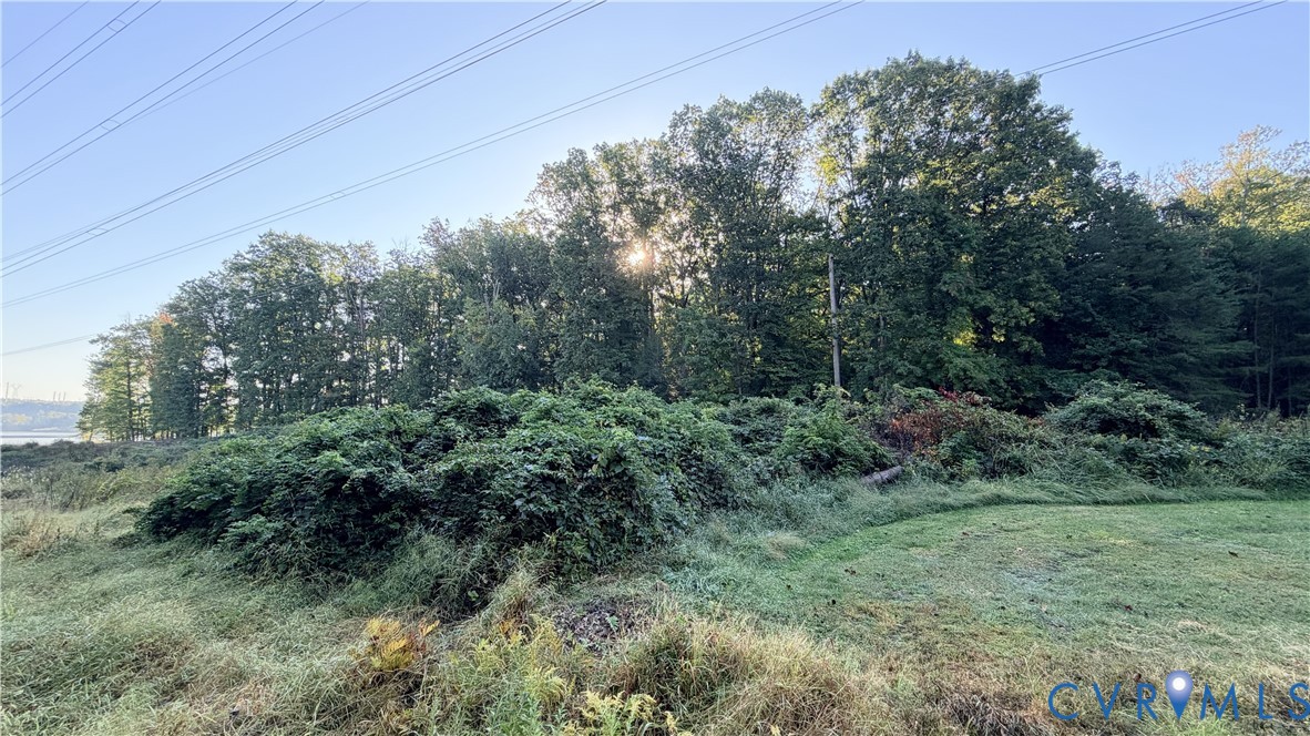 Expansive lot featuring mature trees, natural vegetation, and open grassy terrain Expansive lot featuring mature trees, natural vegetation, and open grassy terrain