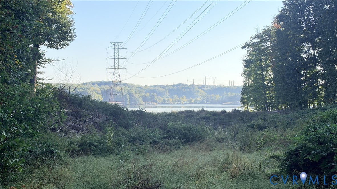 Natural landscape featuring mature trees, native vegetation, and water frontage Natural landscape featuring mature trees, native vegetation, and water frontage