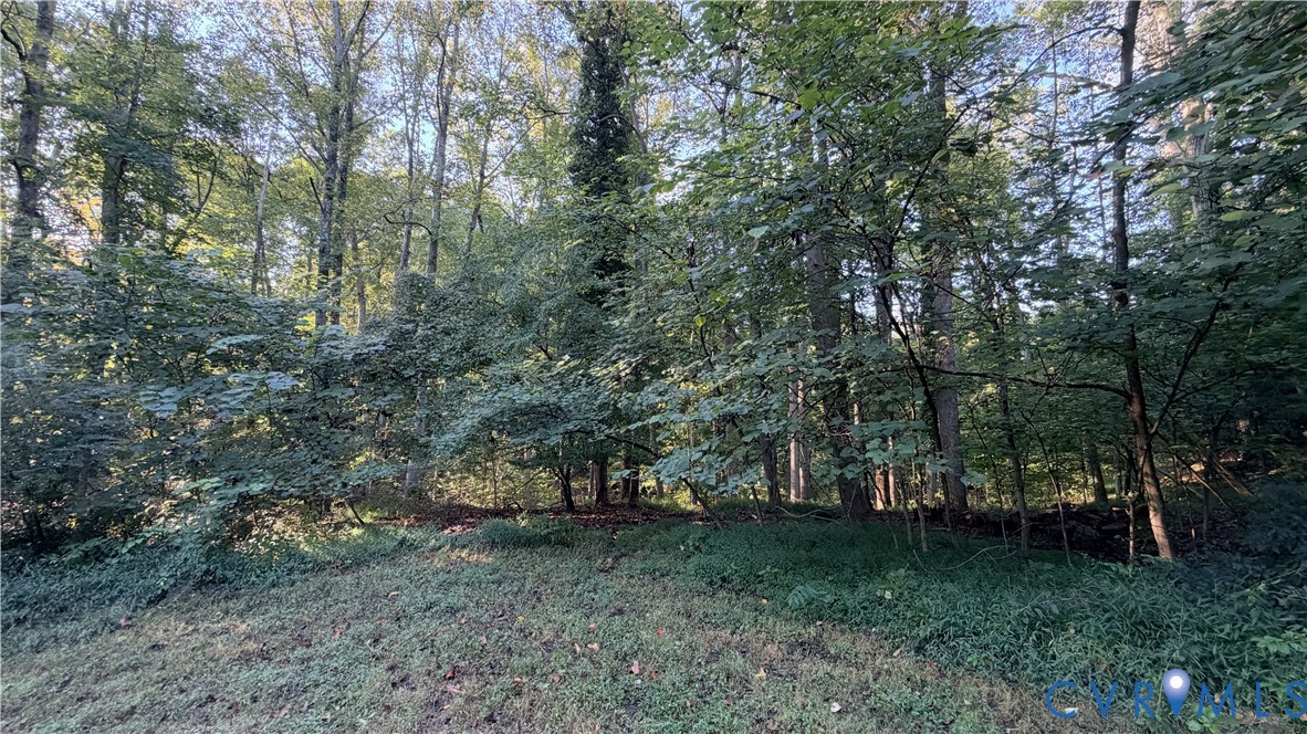 Wooded grounds featuring mature trees and established natural vegetation
