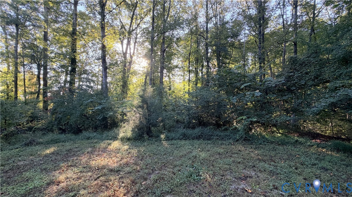 Wooded lot featuring mature deciduous trees and natural landscaping Wooded lot featuring mature deciduous trees and natural landscaping