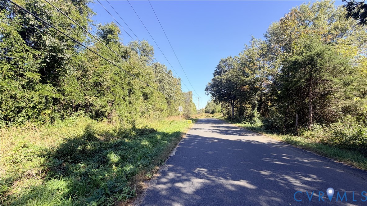 Paved road access flanked by dense mature vegetation and established trees
