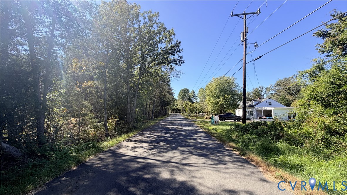 Asphalt roadway bordered by mature deciduous trees and native vegetation