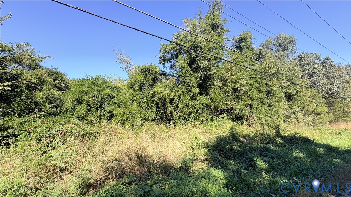 Undeveloped parcel featuring mature trees and established natural vegetation Undeveloped parcel featuring mature trees and established natural vegetation