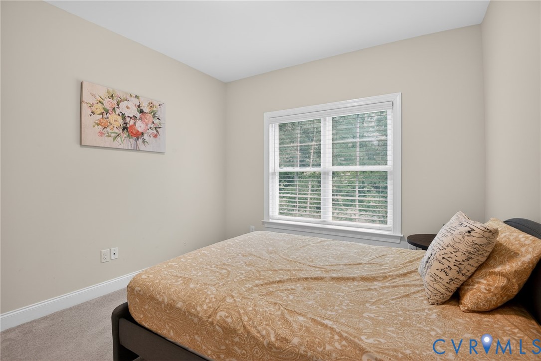 Neutral wall palette featuring expansive double-pane windows with integrated blinds and wall-to-wall carpeting