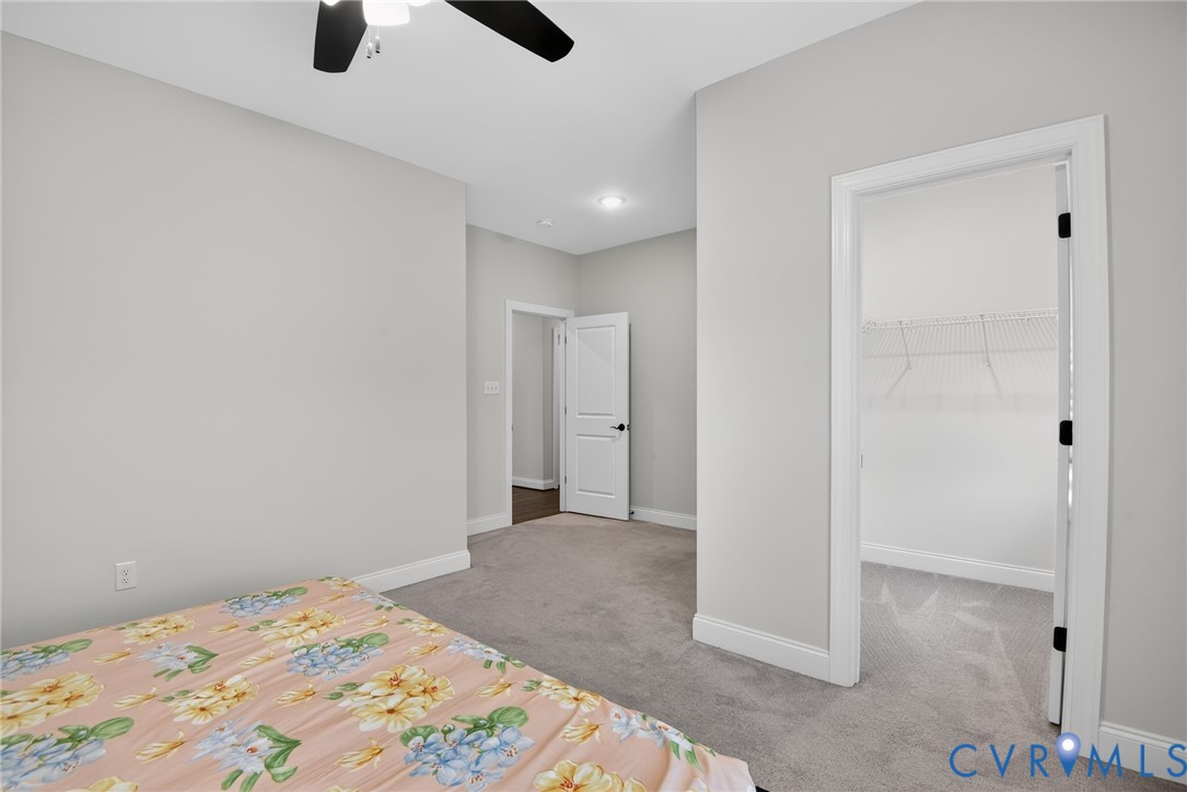Room featuring wall-to-wall carpeting, ceiling fan with integrated lighting, neutral wall paint, and walk-in closet with built-in wire shelving