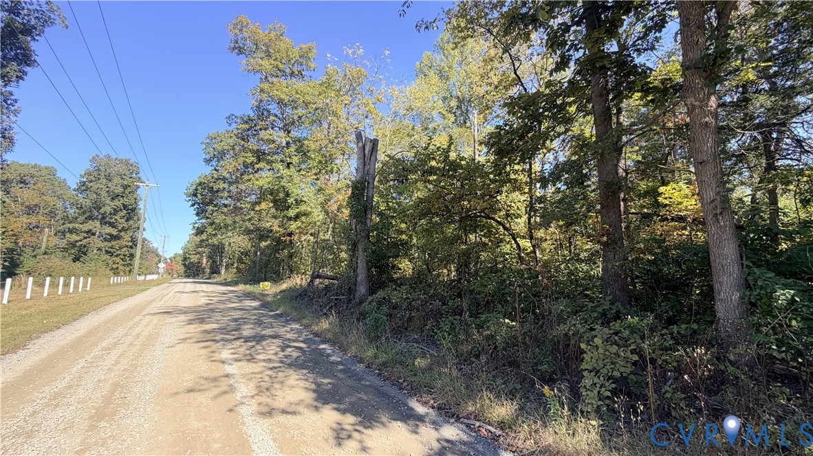 Gravel road frontage featuring mature trees and wooded landscape