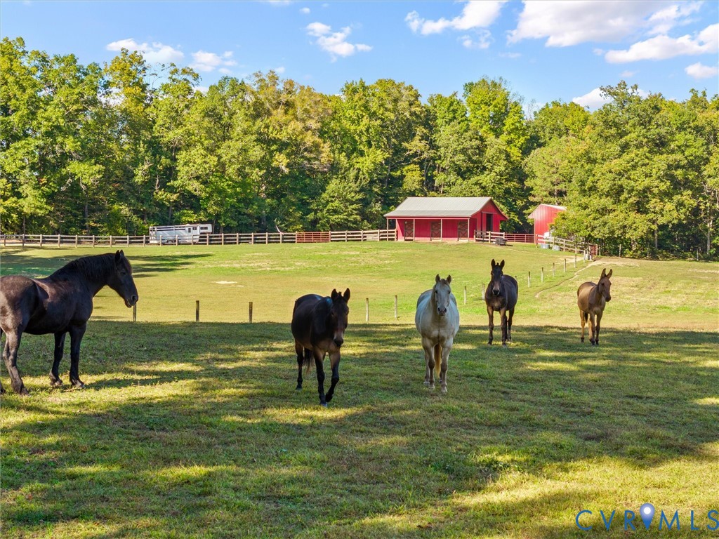 Picture your horses grazing in the lush, rolling pastures of The Little Red Homestead! Approximately 8 acres of fenced pasture, divided into two fields with convenient barn access, offer an idyllic setting for your equestrian lifestyle. Peaceful country living at its finest!