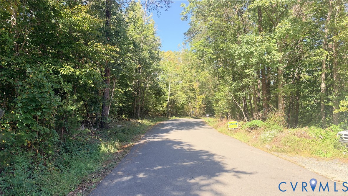 Paved road frontage bordered by mature hardwood trees and native vegetation