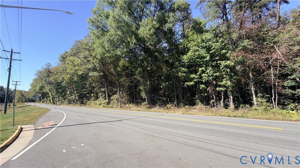 Undeveloped parcel featuring mature trees and established perimeter vegetation