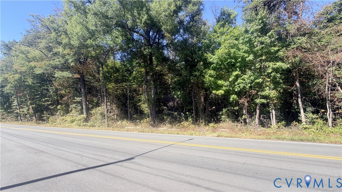 Wooded lot featuring mature trees and established natural vegetation Wooded lot featuring mature trees and established natural vegetation