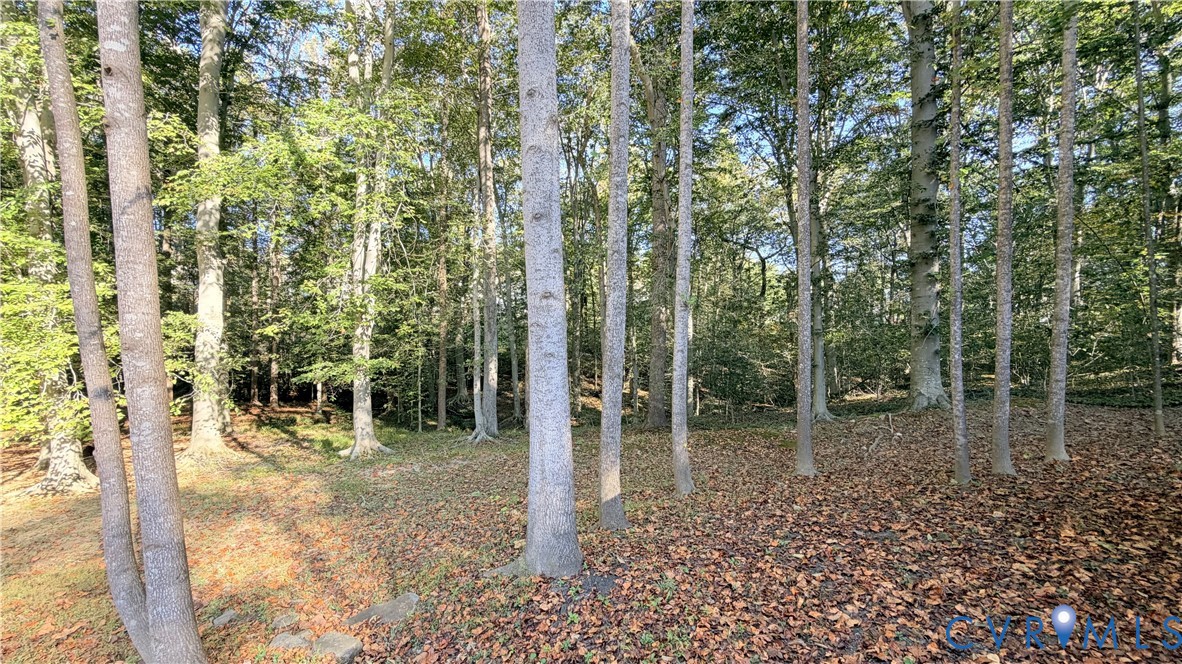 Wooded grounds featuring mature trees and a natural leaf-covered terrain Wooded grounds featuring mature trees and a natural leaf-covered terrain