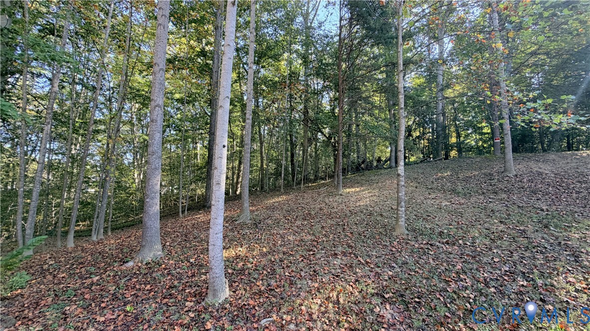 Wooded acreage featuring mature trees and sloping topography